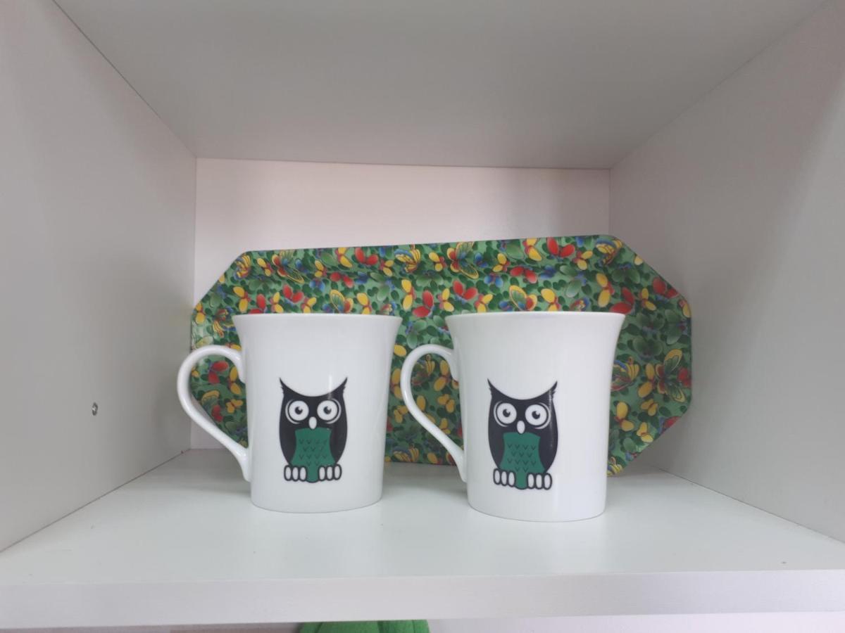 Cozy Hikers Flat Daire Belgrad Dış mekan fotoğraf