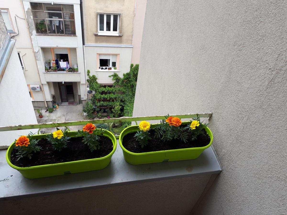 Cozy Hikers Flat Daire Belgrad Dış mekan fotoğraf