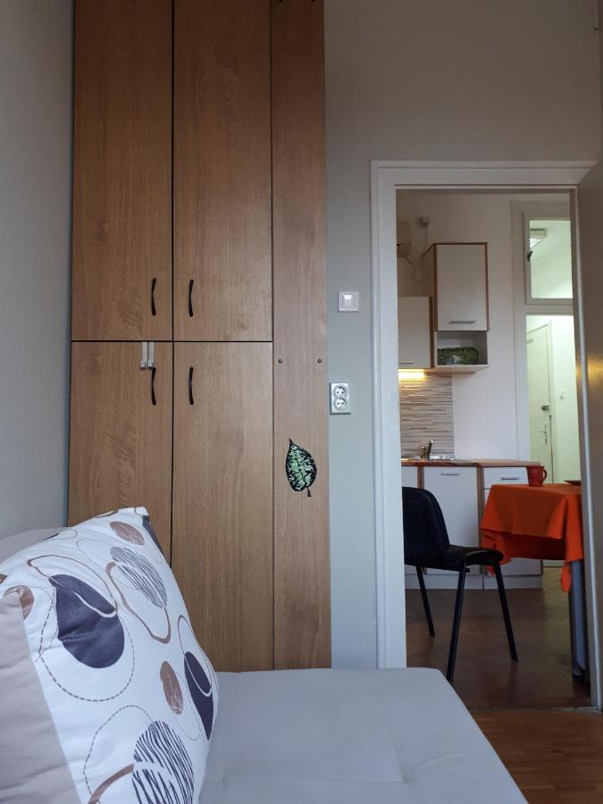 Cozy Hikers Flat Daire Belgrad Dış mekan fotoğraf