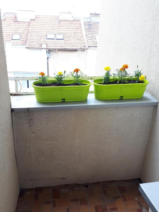 Cozy Hikers Flat Daire Belgrad Dış mekan fotoğraf