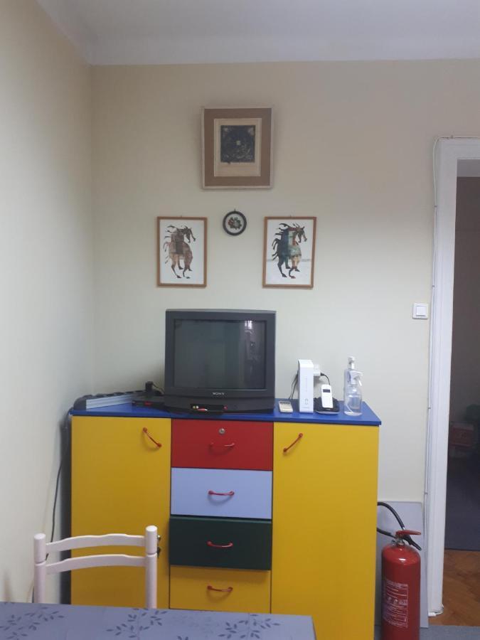 Cozy Hikers Flat Daire Belgrad Dış mekan fotoğraf