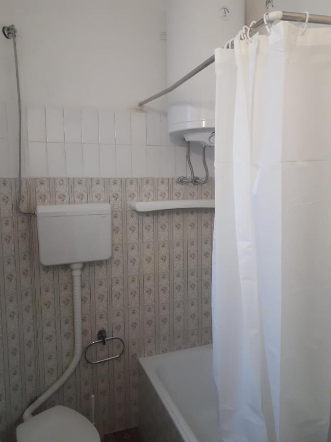 Cozy Hikers Flat Daire Belgrad Dış mekan fotoğraf