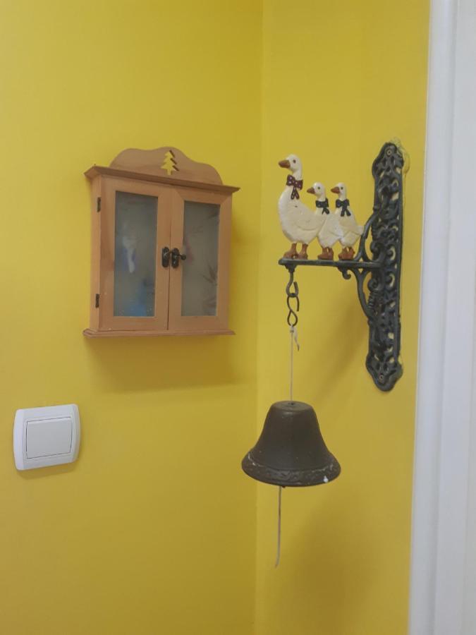 Cozy Hikers Flat Daire Belgrad Dış mekan fotoğraf
